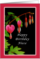 Happy Birthday, Niece, Red Bleeding Heart Flowers card