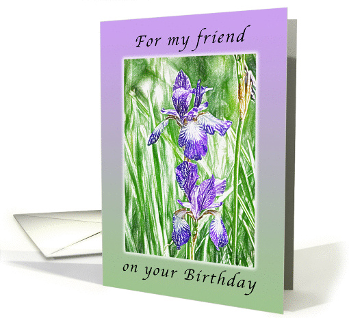 Happy Birthday for my friend, Purple Irises with Pastel Boarder card
