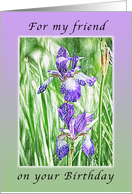 Happy Birthday for my friend, Purple Irises with Pastel Boarder card