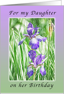 Happy Birthday for my daughter, Purple Irises with Pastel Boarder card