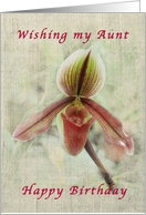 Happy Birthday, Aunt, Vintage, Lady Slipper card