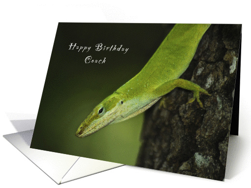 Happy Birthday Coach, Gecko, Green Anole, lizard card (995025)