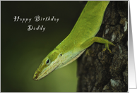 Happy Birthday Daddy, Gecko, Green Anole, lizard card