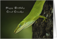 Happy Birthday Great Grandpa, Gecko, Green Anole, lizard card