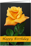 Happy Birthday, orange-yellow rose card