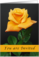 You are Invited Orange-Yellow Rose card