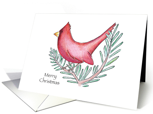 Christmas Cardinal in Tree Illustration card (953043)