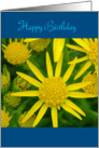 Happy Birthday - yellow wild flowers card
