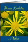 Happy Birthday Mother - yellow wild flowers card