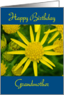 Happy Birthday Grandmother - yellow wild flowers card