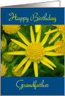 Happy Birthday Grandfather - yellow wild flowers card