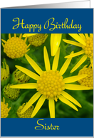 Happy Birthday Sister - yellow wild flowers card