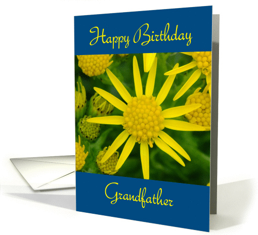 Happy Birthday Grandfather - yellow wild flowers card (957017)