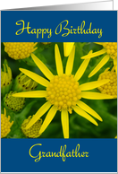 Happy Birthday Grandfather - yellow wild flowers card