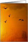 Geese In the Mist Silhouette Blank Note Card