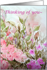 Thinking of You Pink Impatiens Flowers Watercolor Painting card