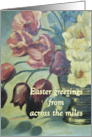 Tulips Bring Easter Greetings Across the Miles card