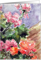 Get Well Red Pink Geraniums Watercolor Painting card