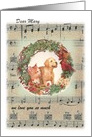 Merry Xmas from puppy & kitten , with personalize name card