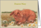 Name Specific illustrated Bunny Birthday on Easter card
