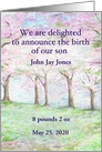 Custom Baby Announcement Spring Landscape card