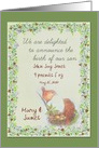 Custom Baby Boy Announcement Pair of Birdie card