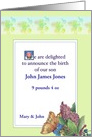 Custom Baby Boy Announcement Botanical card