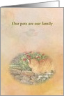 Pet Cancer Encouragement Illustrated Cat card