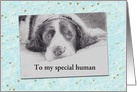Father’s Day from Pet Dog portrait Custom Text card