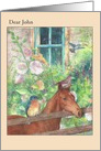 Friendship Birthday Illustrated Horse with Birds card