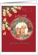 Merry Xmas Illustrated Puppy & Kitten with Custom Name card