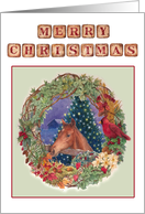 Merry Christmas from New Home Horse and Cardinal card