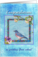 Congratulations Niece Masters Degree Painterly Bluebird card