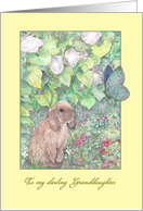 Granddaughter Graduation Congratulations Nature Illustration card