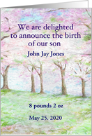 Custom Baby Announcement Spring Landscape card