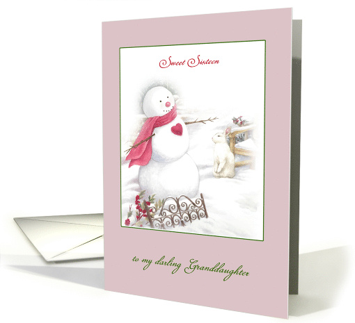 Sweet Sixteen Granddaughter on Christmas Day card (1367742)