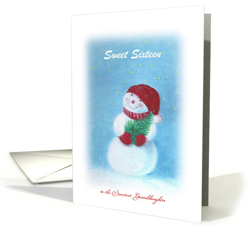 Sweet Sixteen Granddaughter on Christmas Day card (1367802)