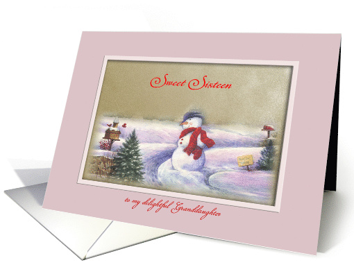 Sweet Sixteen Granddaughter on Christmas Day card (1368086)