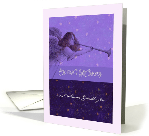 Sweet Sixteen Granddaughter Birthday on Christmas Day card (1368904)