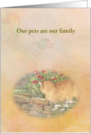 Pet Cancer Encouragement Illustrated Cat card