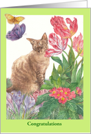 Pet Cancer Survivor Purrfect Kitty card