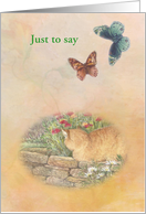 Just to Say Any Occasion Purr-fect Kitty Blank Inside card