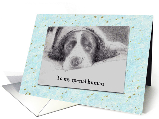 Dad's Birthday from Pet Dog Portrait Custom Text card (1476612)