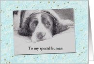 Dad’s Birthday from Pet Dog Portrait Custom Text card