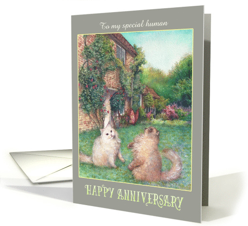 Happy Anniversary from Cats in garden card (1480396)