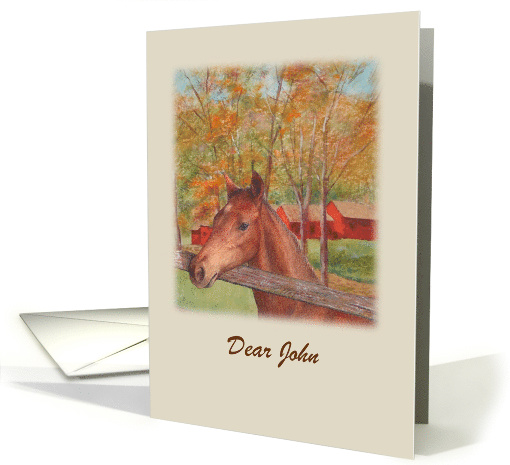 Friendship Birthday Illustrated Horse Red Barn card (1483088)