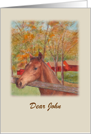 Friendship Birthday Illustrated Horse Red Barn card