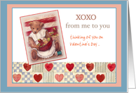 XOXO Custom Text Valentine, Hearts & Bears card