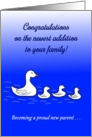 New Addition/Becomming A Proud Parent Congratulations card