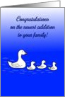 New Pet Congratulations with swans card